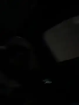dingoding online show from 06/01/26, 06:24