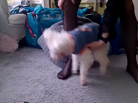 feathersify online show from 02/10/26, 08:02