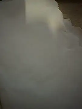 gokhanbey34 online show from 03/17/26, 11:41