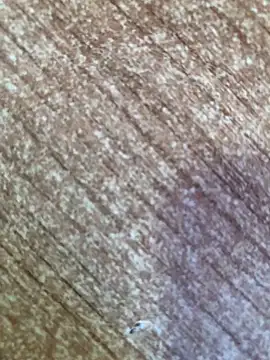 gokhanbey34 online show from 10/26/25, 08:48