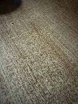 gokhanbey34 online show from 01/09/26, 12:28