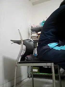 ksshp9502 online show from 11/04/25, 03:38