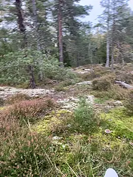 Andreashow online show from 09/26/25, 03:30