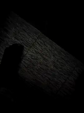 tamil202 online show from 11/30/25, 01:28