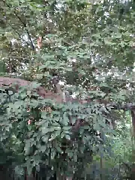 Rinku5553 online show from 09/26/25, 02:07