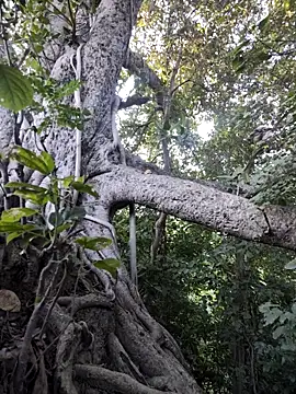 Rinku5553 online show from 11/07/25, 02:38