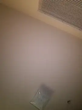 yellowwetfox online show from 03/29/26, 03:41