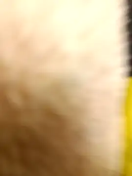 yellowwetfox online show from 03/22/26, 10:55