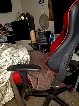 Snapshot of yellowwetfox chatting on 12/28/24, 03:58 yellowwetfox online show from 12/28/24, 03:58