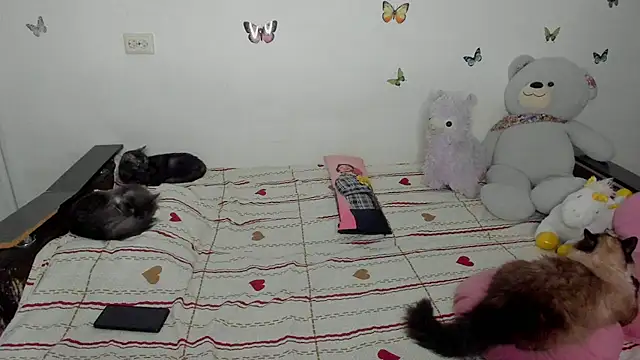 NataliEvans online show from 04/12/26, 06:22