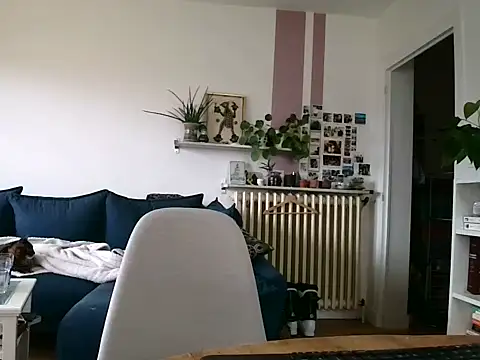 Simon-tem online show from 02/05/26, 01:40