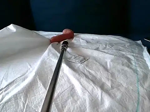 Snapshot of Simon-tem chatting on 02/24/25, 05:09 Simon-tem online show from 02/24/25, 05:09