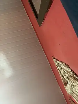 pimenta gaby online show from 10/18/25, 01:02