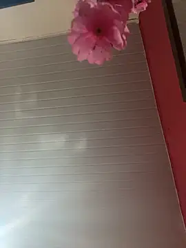 pimenta gaby online show from 04/05/26, 12:01