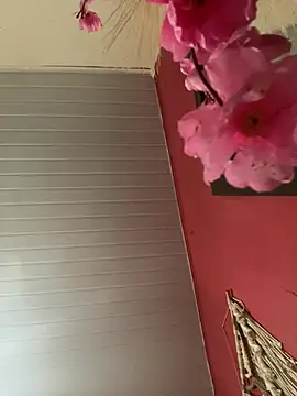 pimenta gaby online show from 04/17/26, 03:37