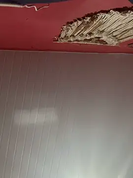 pimenta gaby online show from 10/28/25, 11:20