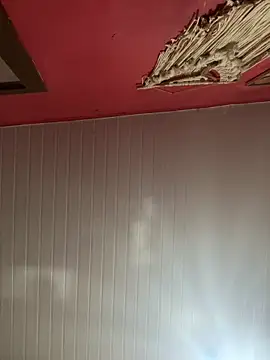 pimenta gaby online show from 03/08/26, 02:42