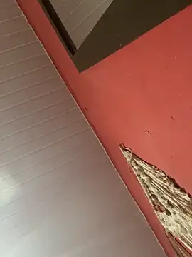 pimenta gaby online show from 11/04/25, 11:03