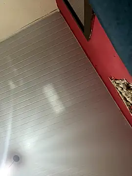 pimenta gaby online show from 11/14/25, 10:30