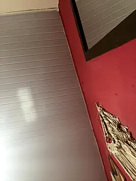 pimenta gaby online show from 11/15/25, 02:21