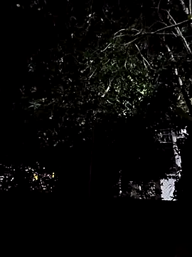 Yuky ta online show from 03/03/25, 12:01