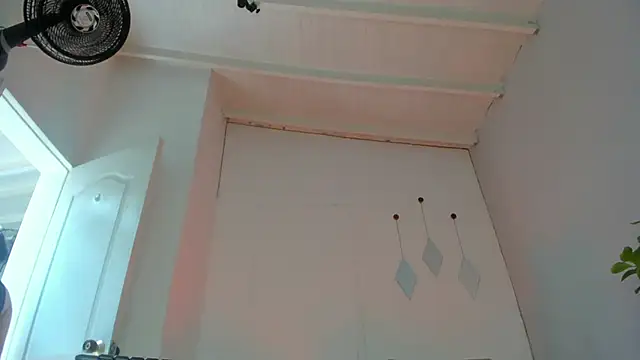 swt-booty online show from 10/18/25, 04:31