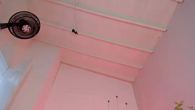 swt-booty online show from 11/19/25, 06:52