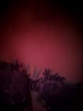 julimonroe online show from 02/18/26, 10:22