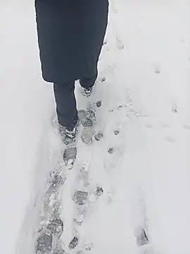 Snapshot of Saysomething3 chatting on 01/11/26, 07:59 Saysomething3 online show from 01/11/26, 07:59