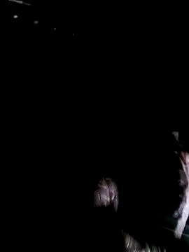 funcock78 online show from 10/19/25, 07:33