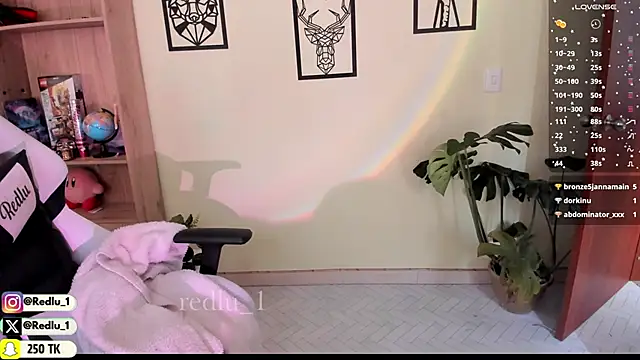 Snapshot of Redlu_1 chatting on 02/14/25, 02:44 Redlu 1 online show from 02/14/25, 02:44