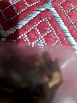 XBHUUME online show from 02/01/25, 10:59