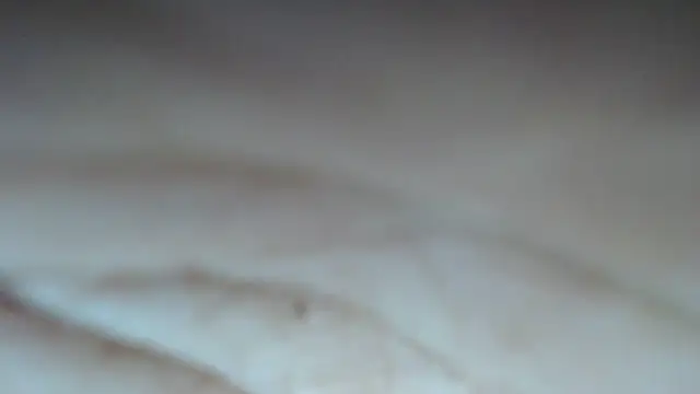 swt shadow online show from 03/01/26, 07:25