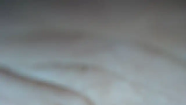 swt shadow online show from 02/23/26, 06:52