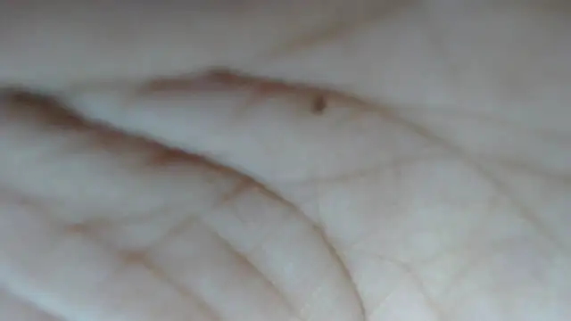 swt shadow online show from 02/15/26, 08:08