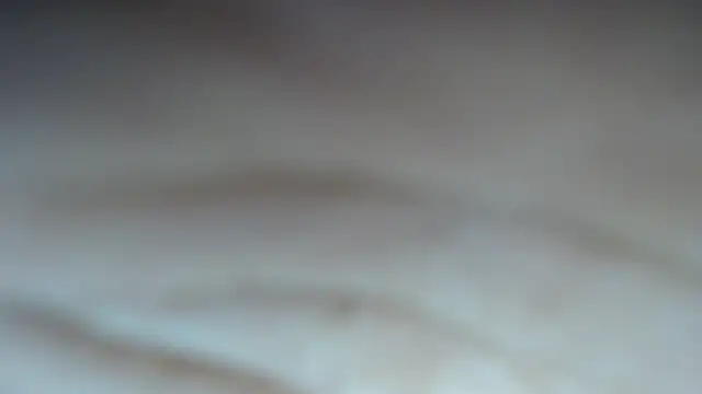 swt shadow online show from 02/24/26, 07:26