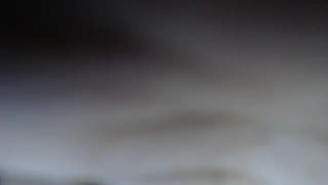 swt shadow online show from 02/20/26, 07:27