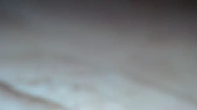 swt shadow online show from 02/13/26, 07:36