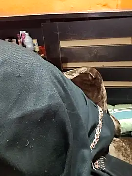 Diya 143 online show from 01/12/26, 06:36