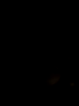 stuard-19 online show from 11/16/25, 07:35