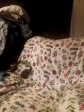 ShadowyTube online show from 02/19/25, 06:33