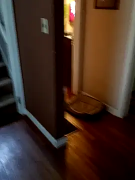 Snapshot of Armpitshaver chatting on 12/25/24, 03:28 Armpitshaver online show from 12/25/24, 03:28