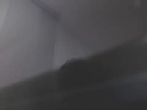 violetasweet11 online show from 02/19/26, 07:05