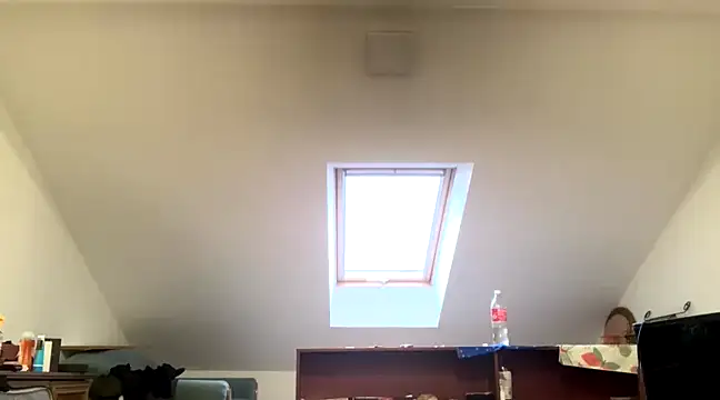 WildzMareNextLevel online show from 01/04/25, 06:52