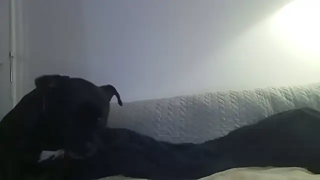 Elosexxy online show from 09/24/25, 07:09