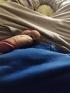 Purple Flamingo online show from 02/03/26, 08:58