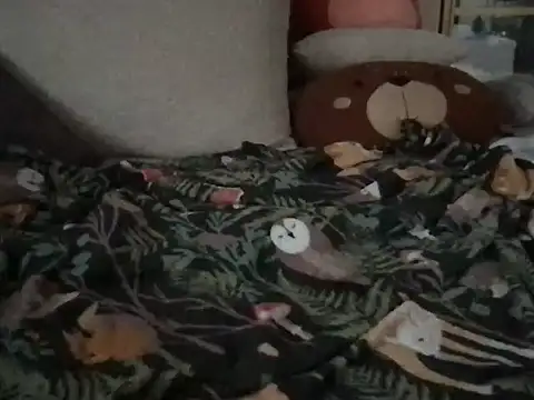 Perwers 41 online show from 11/02/25, 02:22