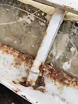 Snapshot of hOrnybOy_369 chatting on 12/15/24, 09:56 hOrnybOy 369 online show from 12/15/24, 09:56