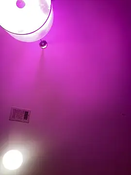 Snapshot of BigFineSelena chatting on 09/14/25, 08:26 BigFineSelena online show from 09/14/25, 08:26