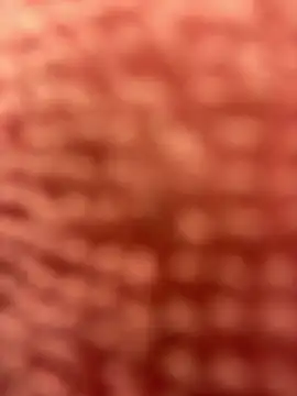 Snapshot of BigFineSelena chatting on 01/11/25, 03:09 BigFineSelena online show from 01/11/25, 03:09